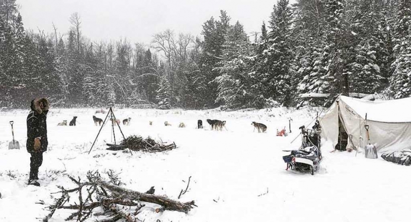 A winter campsite rests along a row of trees. Pictured are a line of several sled dogs, a canvas tent, a campfire site and a sled. 